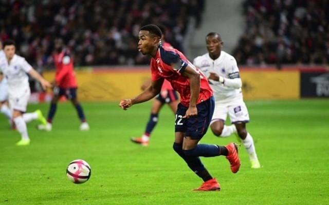 回应反对声 回应反对声